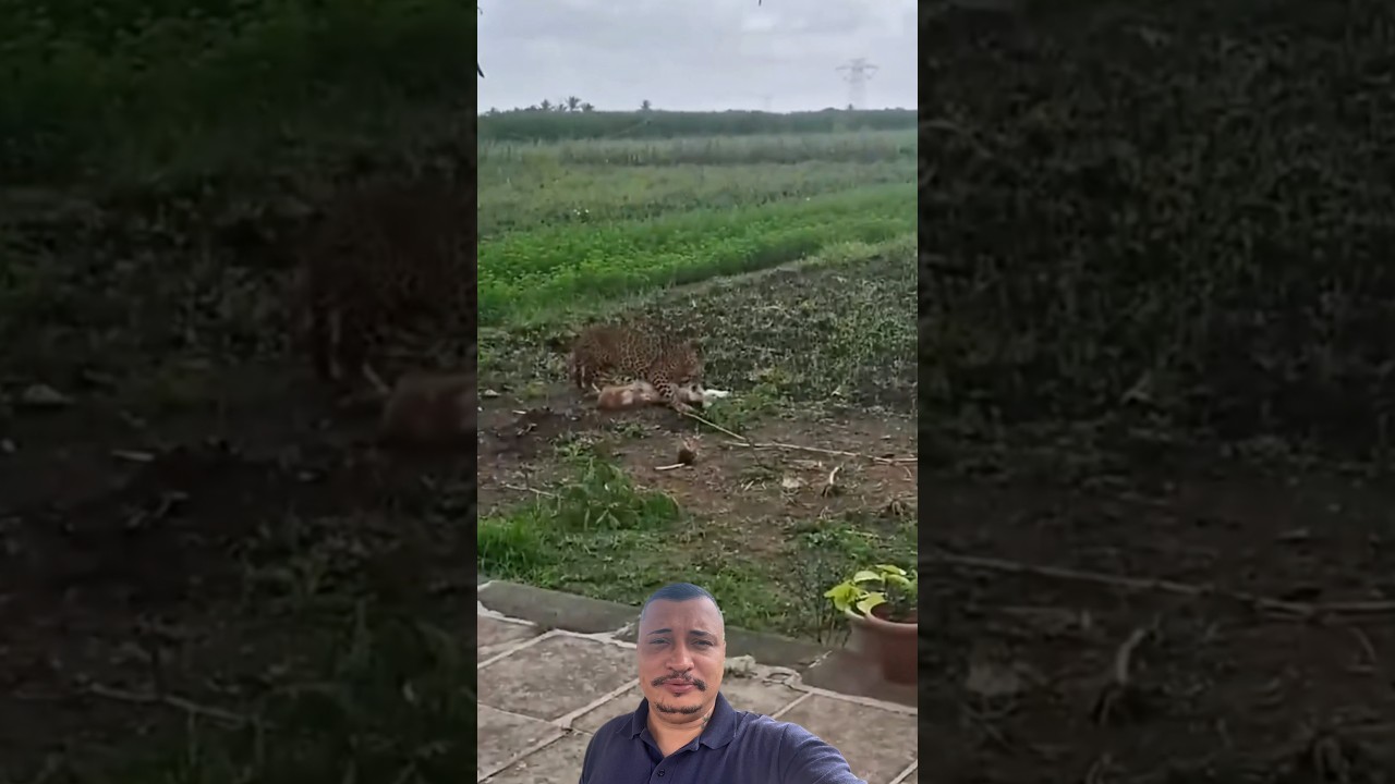 É nessa hora que é bom ter uma cartucheira boa