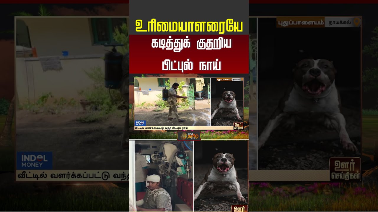 உரிமையாளரையே கடித்துக் குதறிய பிட்புல் நாய் | Pitbull Attack on Owner | Namakkal | Shorts | Trending