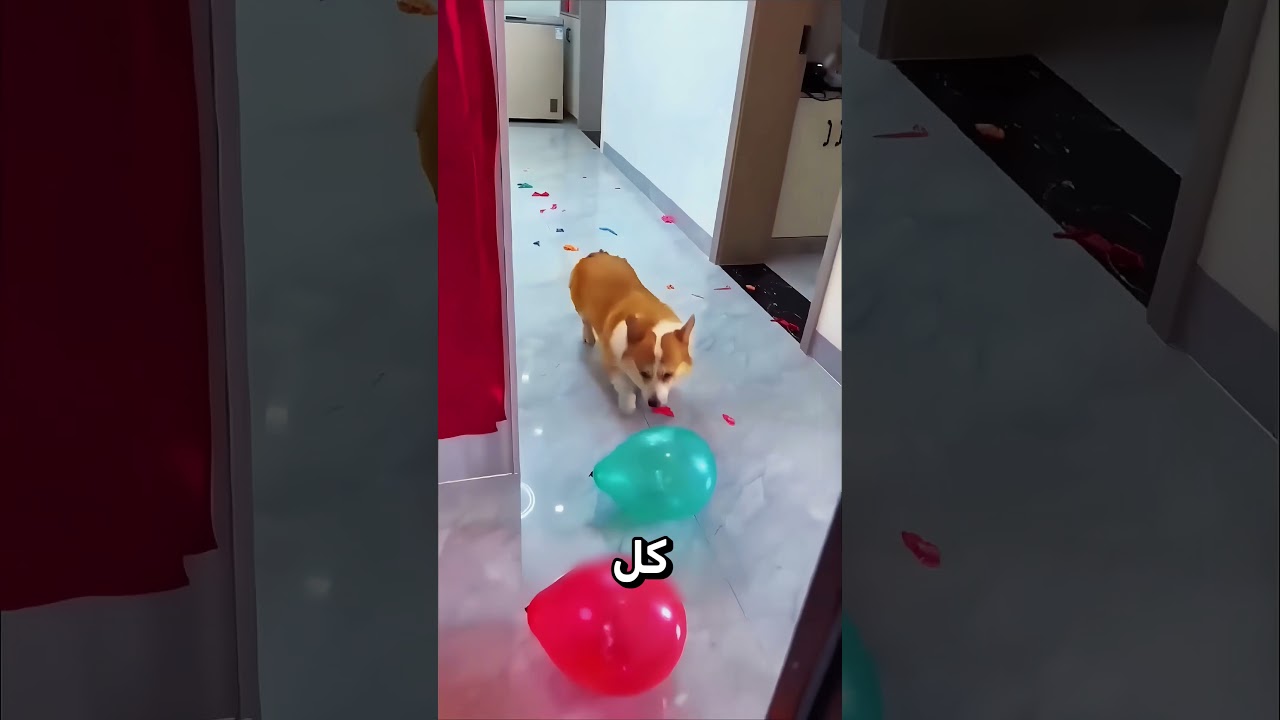 شاهدوا كيف فزت في تحدي أمي بمساعدة أصدقائي! 🥹