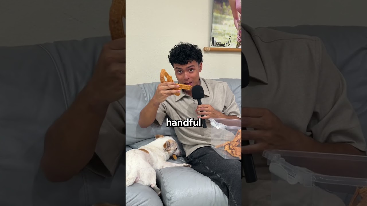 Subscribe if you like my small dog cookie