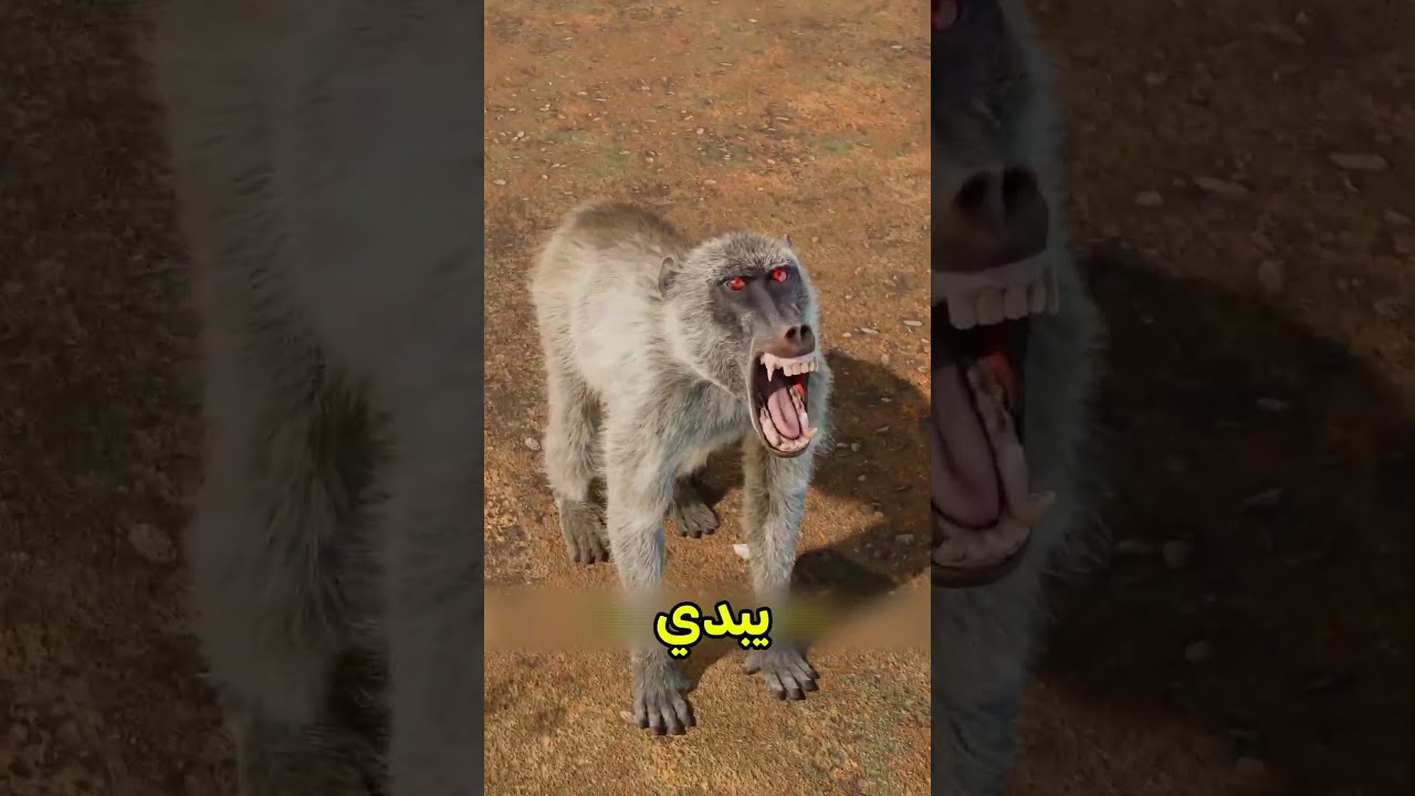 اخطاء اياك تعملها قدام الحيوانات😨#اكسبلور #معلومات #معلومات_عامة #حقائق #موسوعة_غينيس