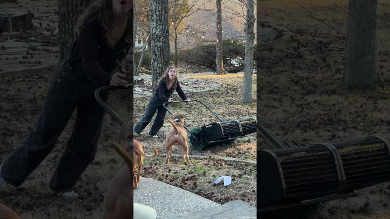 Spikey Ball invasion