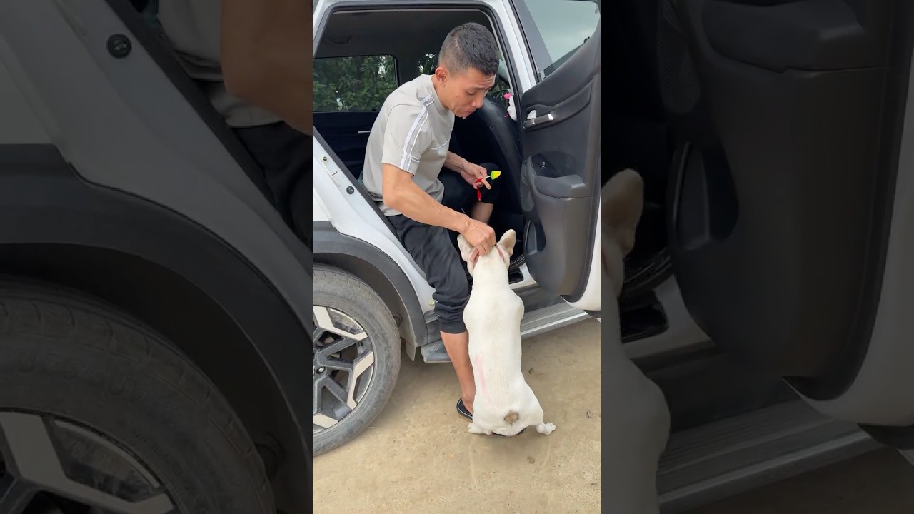 Kidnapped Puppy Rescued Just in Time! Emotional Dog Rescue Story 🐶