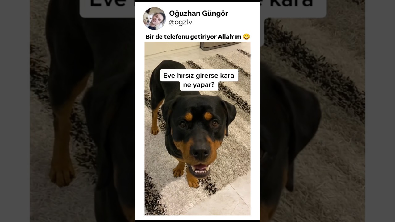 Aklını seveyim