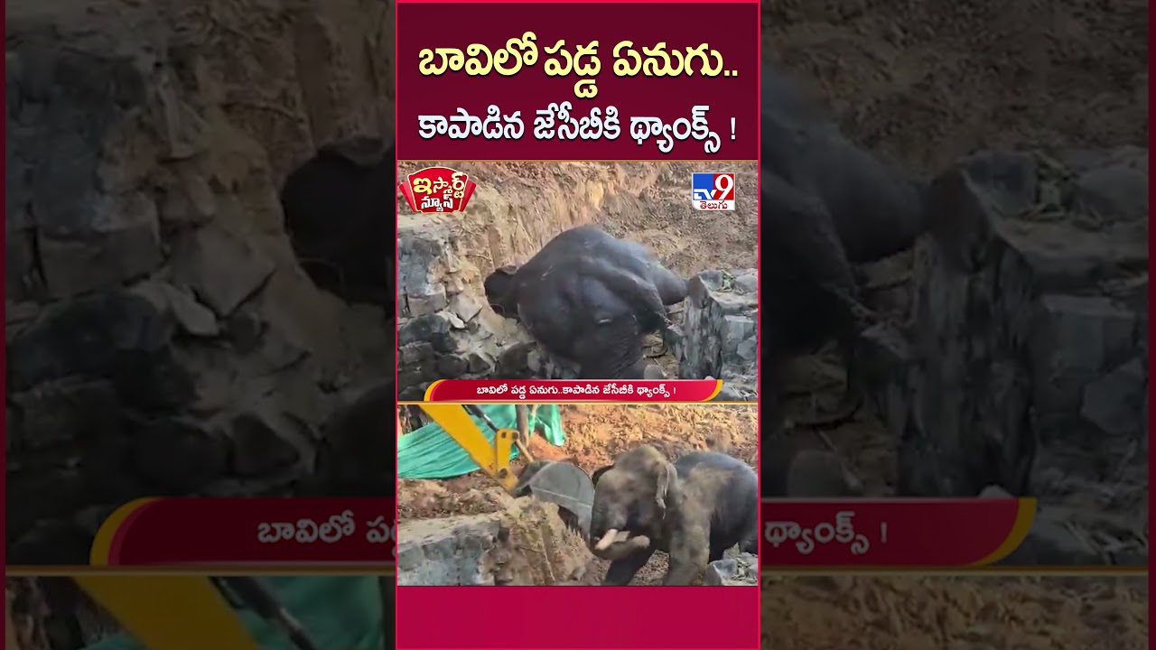 iSmart News :  బావిలో పడ్డ ఏనుగు..కాపాడిన జేసీబీకి థ్యాంక్స్ ! | Elephant | JCB - TV9