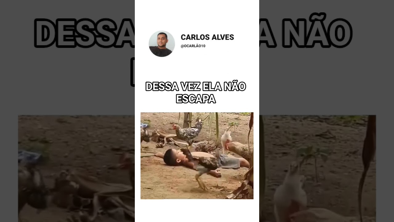 ESSA NÃO ESCAPA KKK #memes #humor #cachorro #comedia #animals