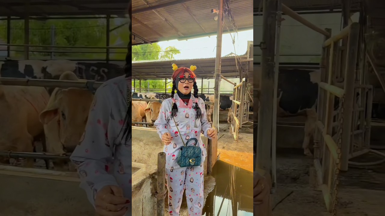 SAPI LUCU BANGET, HARGANYA 100 RIBU? | NURRAYNI25