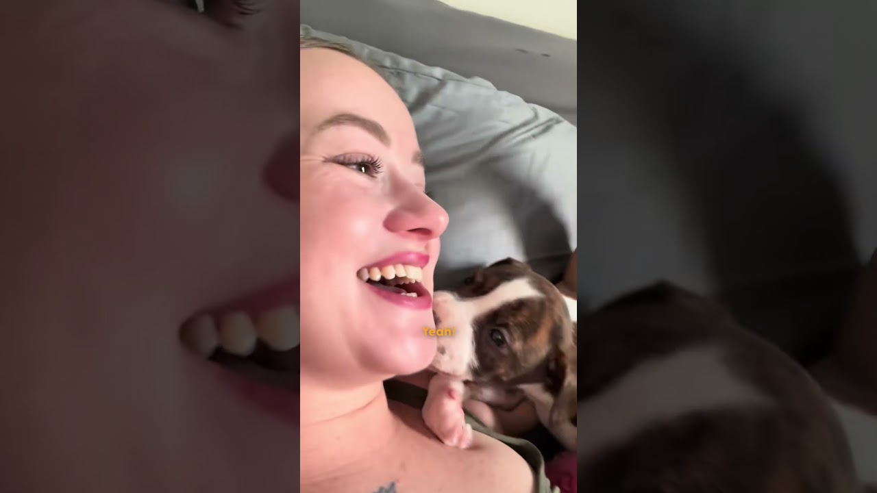 Puppy Found With Mouth Sealed Shut Finds The Perfect Mama | The Dodo - Published by The Dodo
