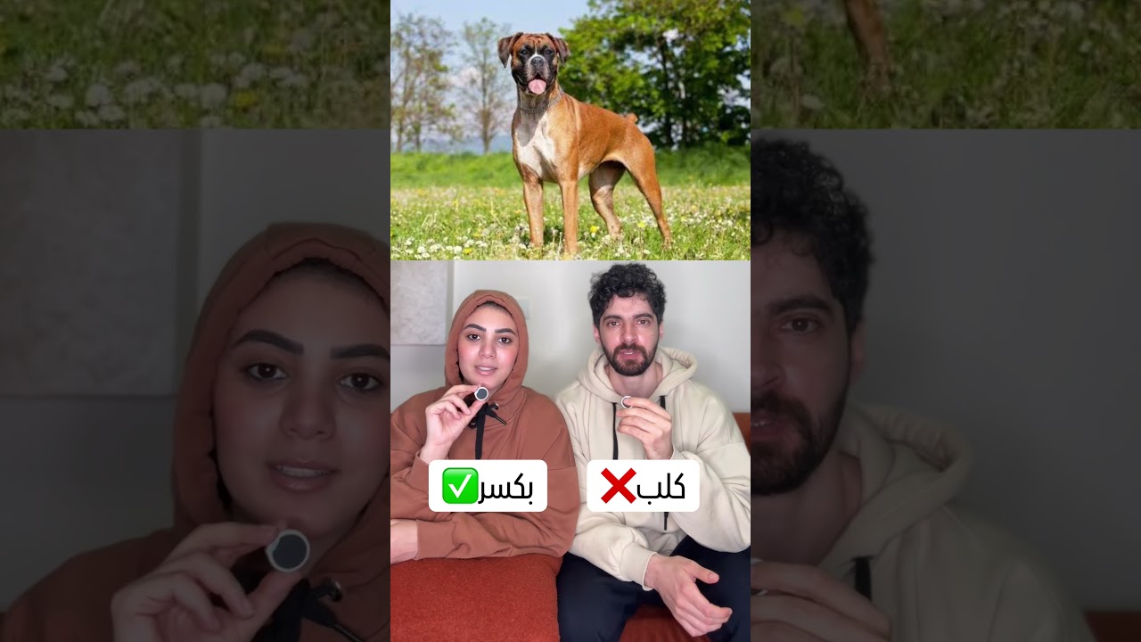 الكلب عن مراتي 😂