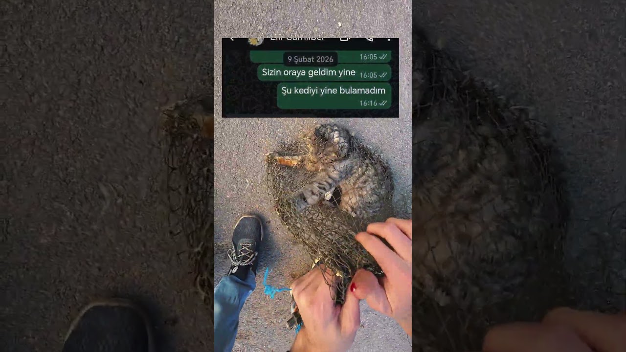 ÖZÜR DİLERİM TÜM İNSANLIK VE İNSAN OLAMAMIŞLAR ADINA...