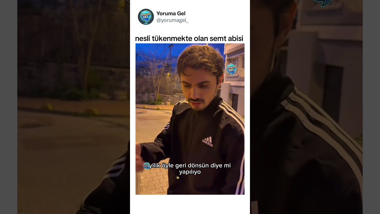 Nesli tükenmekte olan semt abisi