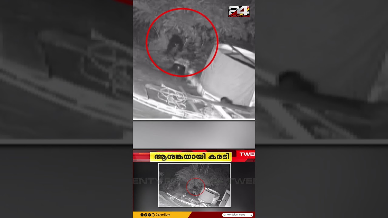 ഇടുക്കി കുമളി ചോറ്റുപാറയിൽ ജനവാസ മേഖലയിൽ കരടി ഇറങ്ങി