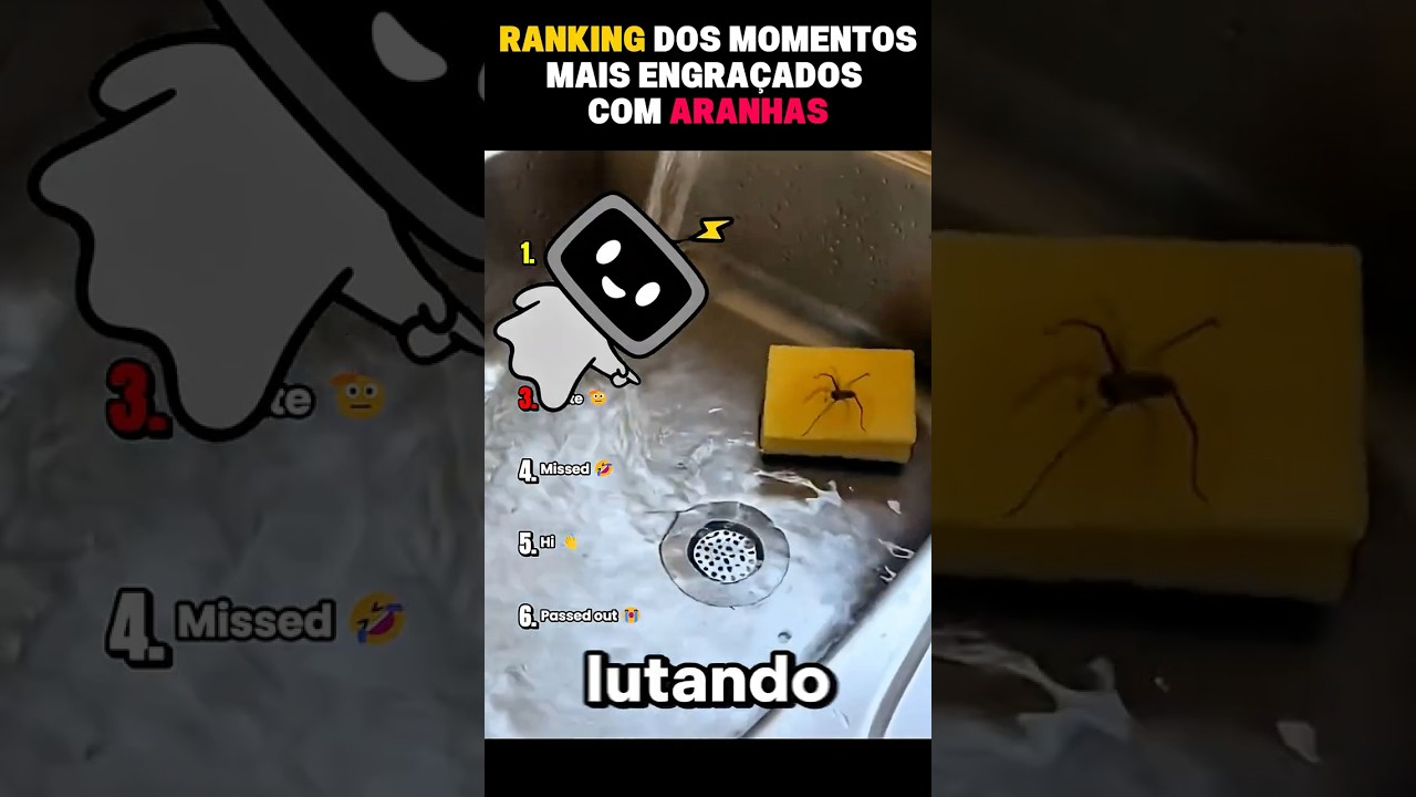 Ranking dos Momentos Mais Engraçados com Aranhas 🕷️