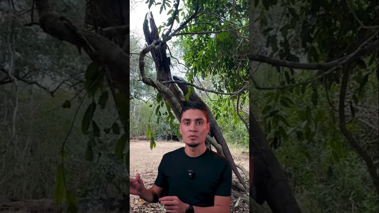 هل ده اسوء كائن في عالم الحيوان؟!