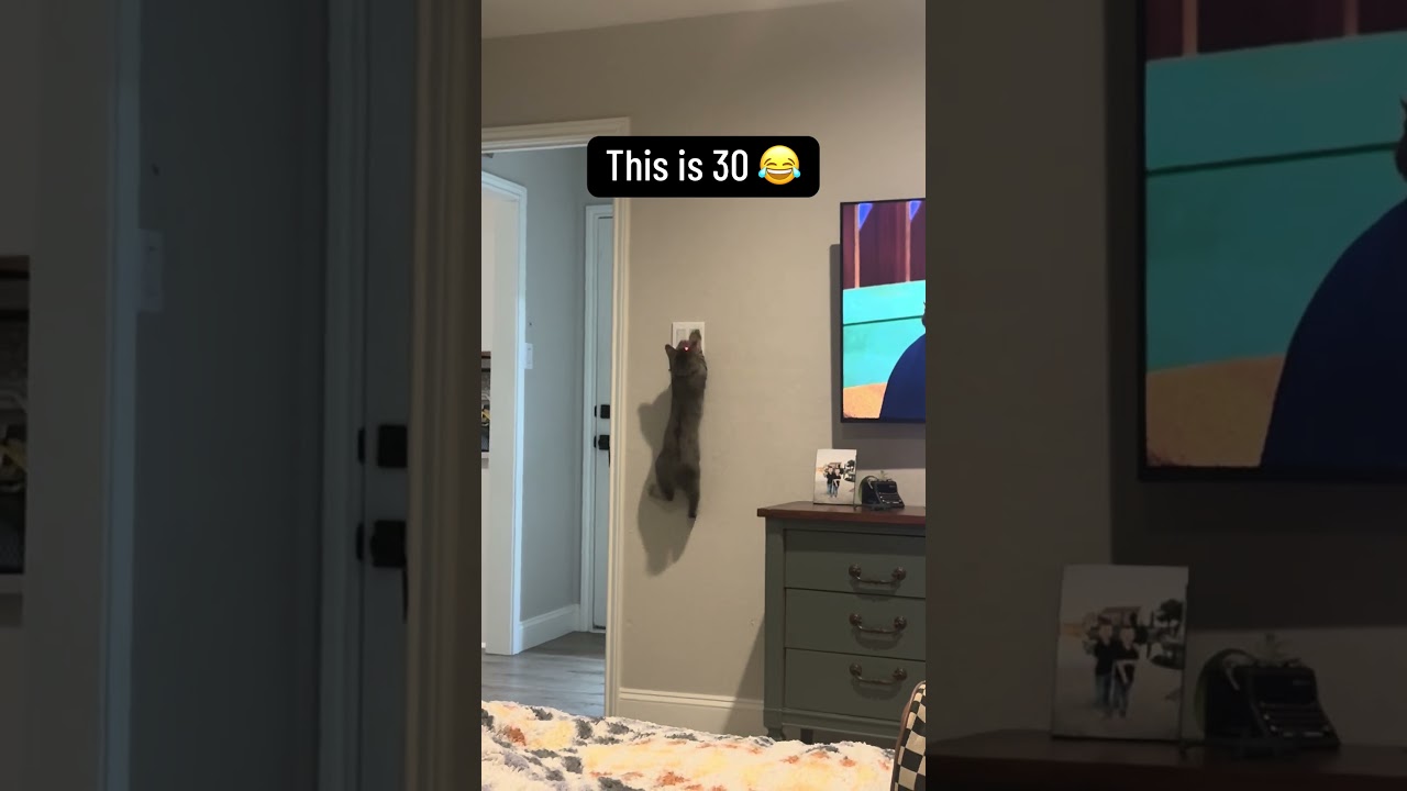 I respect the laziness 😂