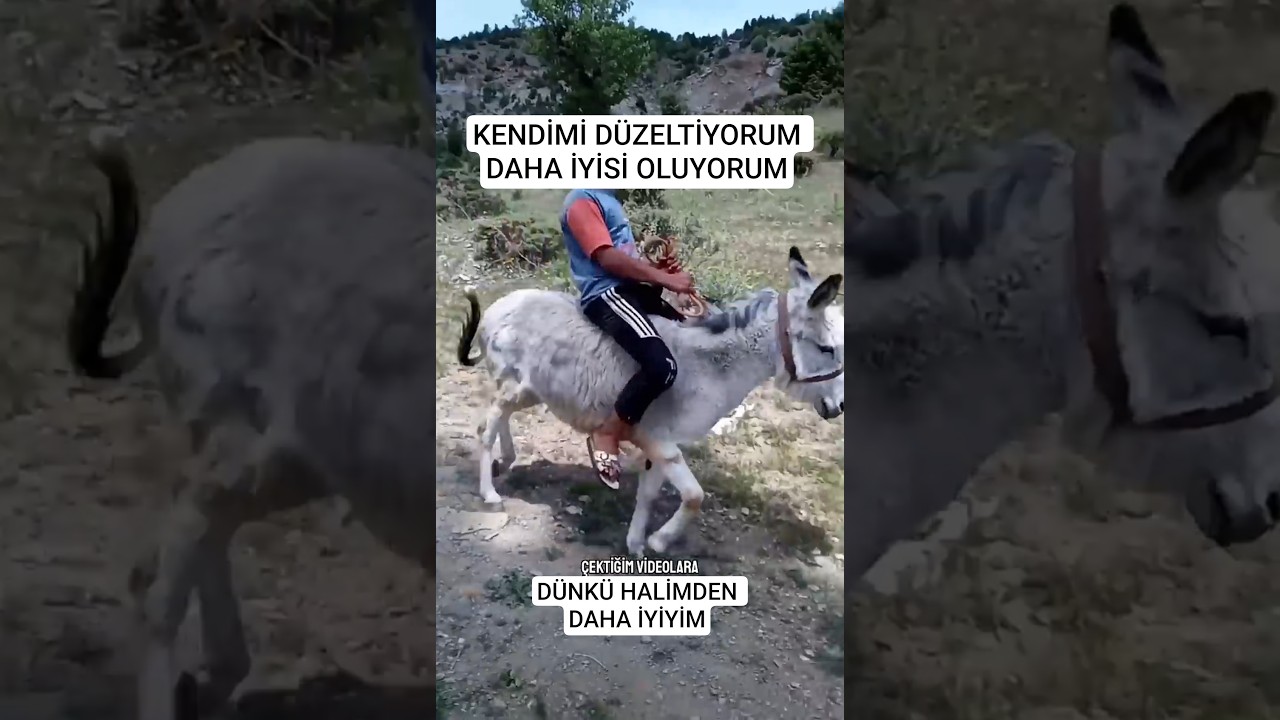 Bugünkü halim dünkü halimden daha iyi mi