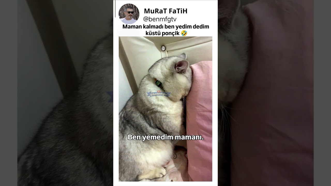 Küsme huyu var kardeşim 🤣