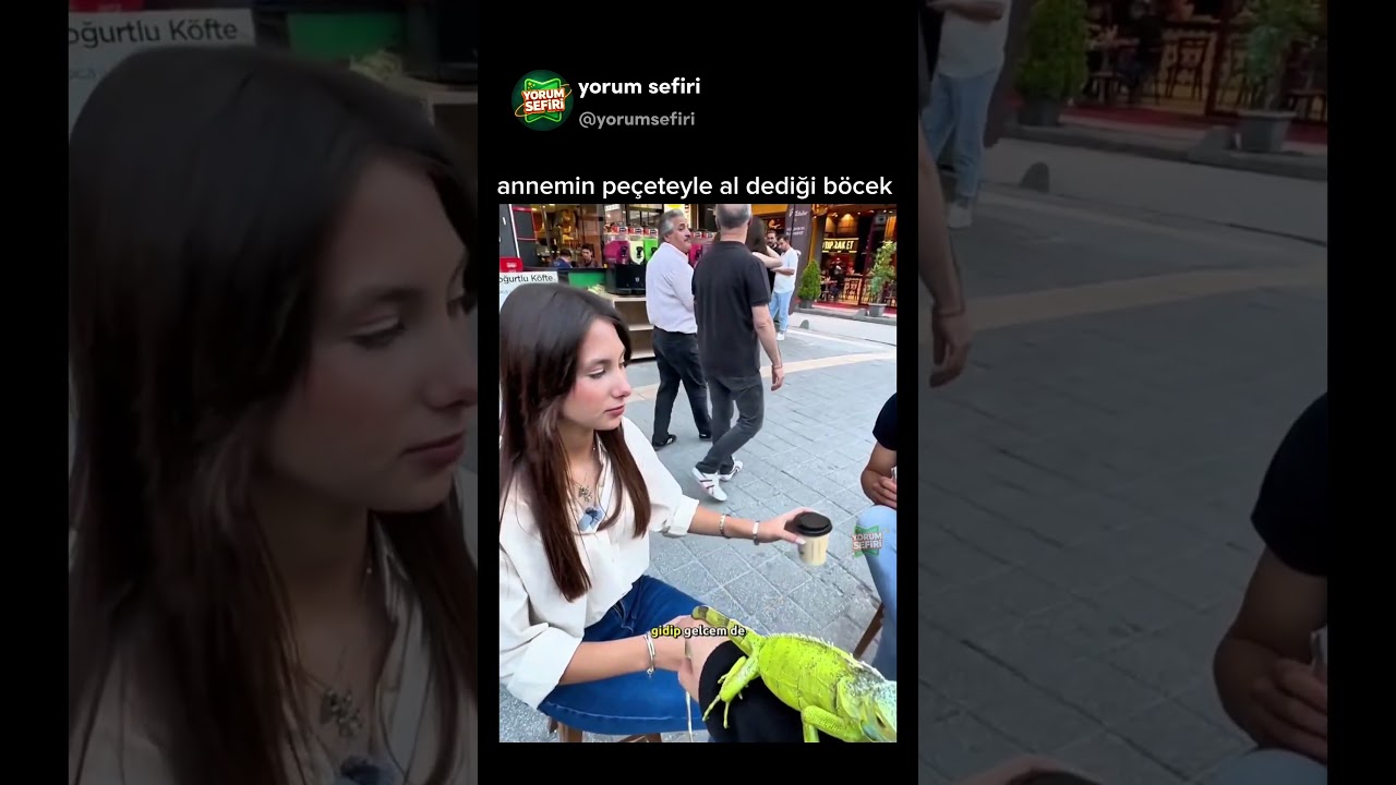 annemin peçeteyle al dediği böcek😅