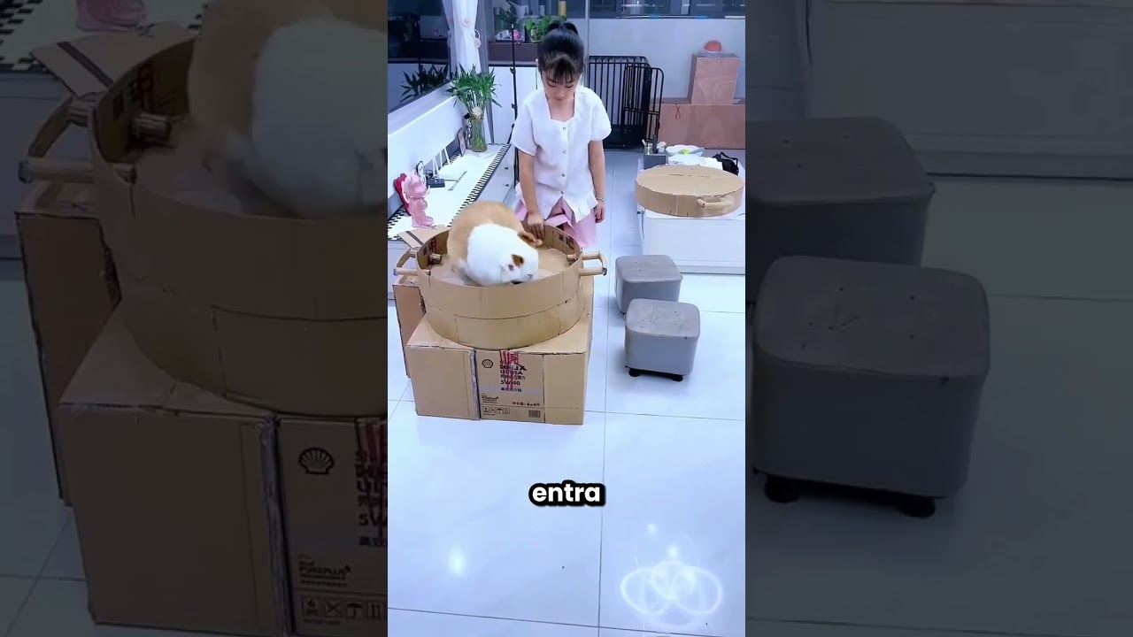 A menina quer brincar de cozinhar com seus bichinhos 😲🐶