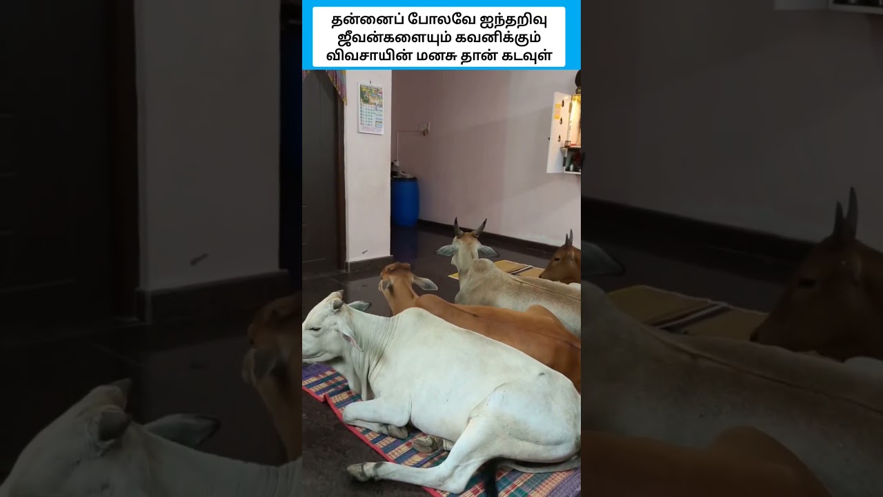 வருமானம் பார்த்தால் மட்டும் பத்தாது அவைகளையும் நன்றாக கவனிக்க வேண்டும் #shorts
