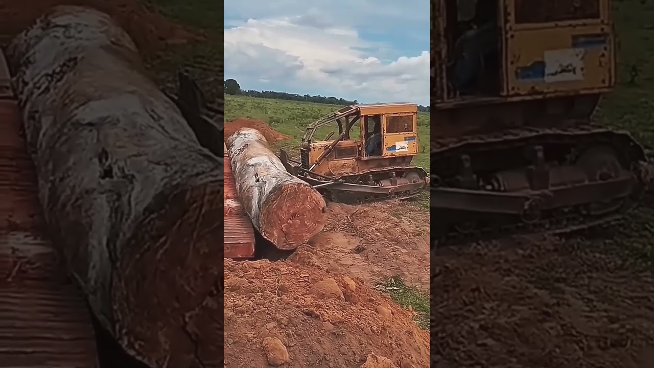 colocando tronco de madeira de 10 toneladas no caminhão