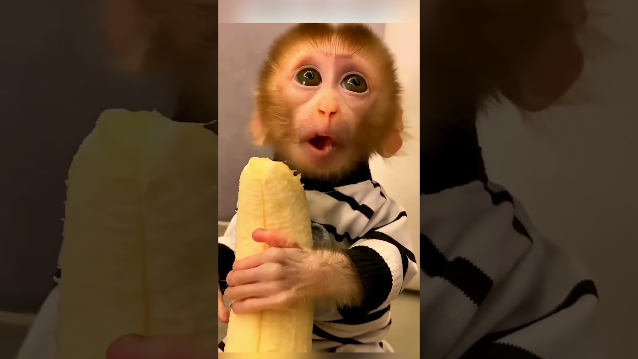 بعد ما فقد أمه... حصلت معجزة! 😱