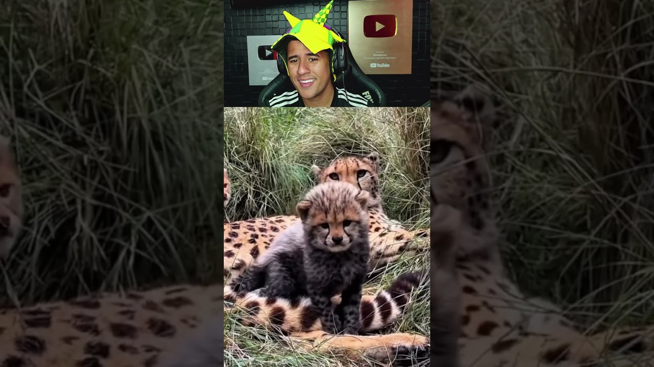VÍDEO MAIS LINDO DE HOJE!