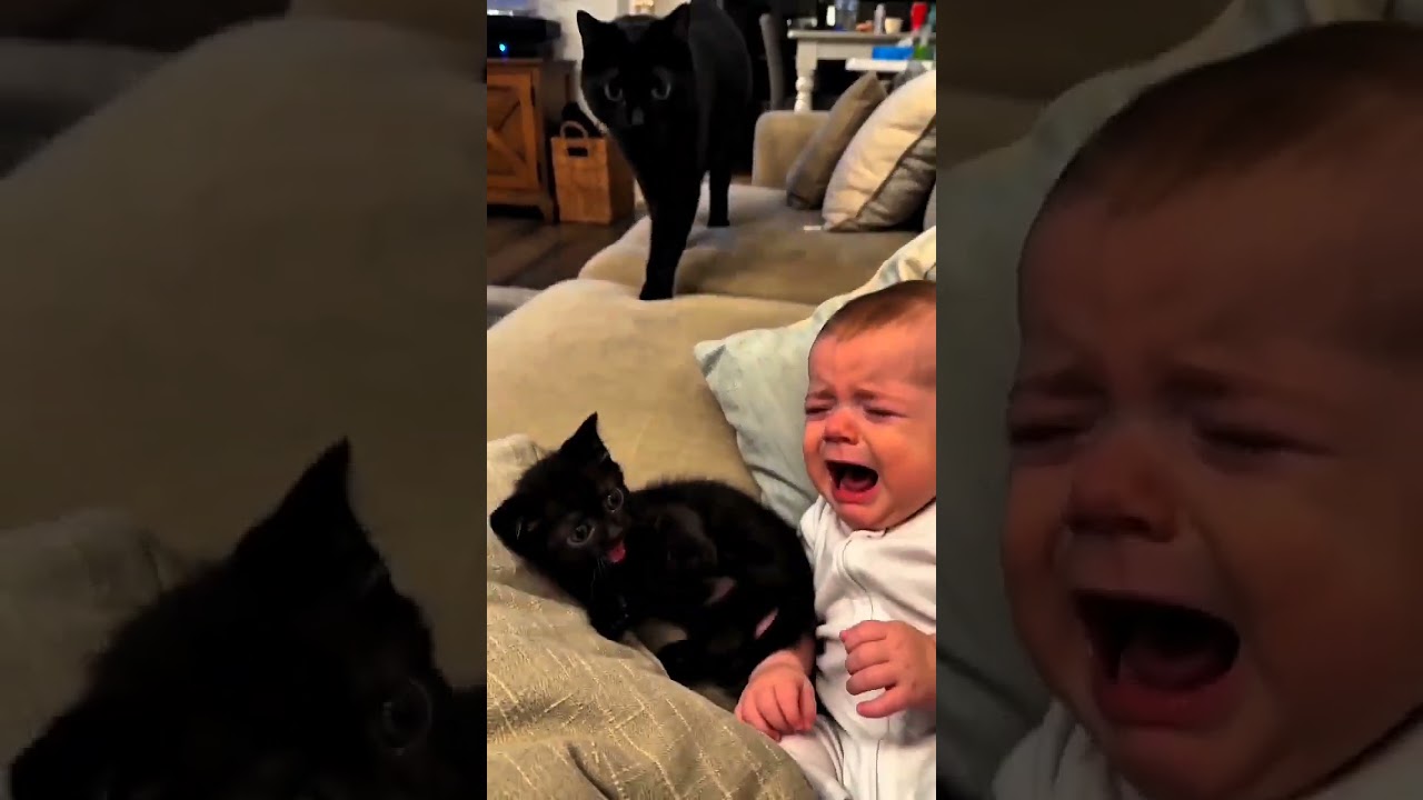 baby use mubail and cat 😯😯😯😯😯😯😯😯