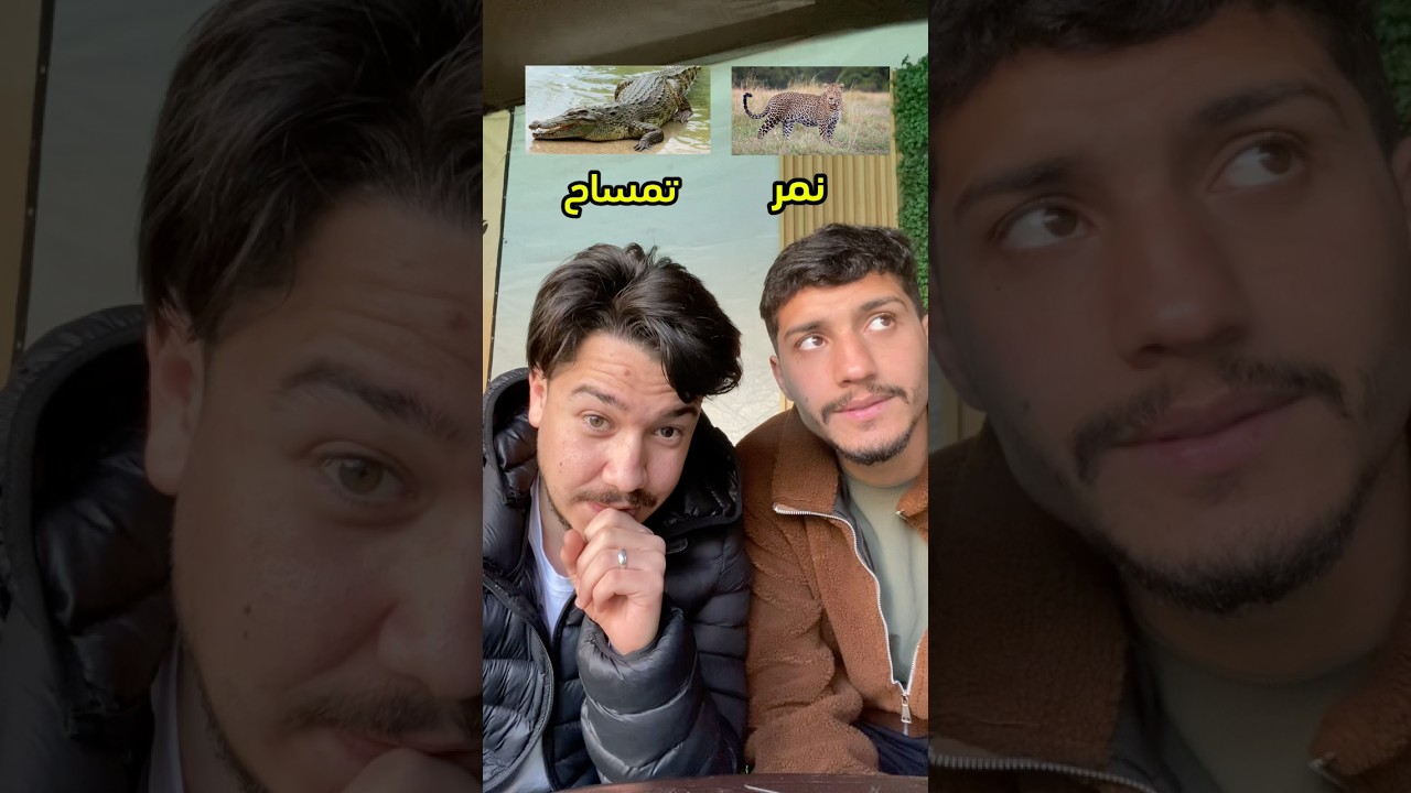 تحدي الحيوانات مع ميدو 😂