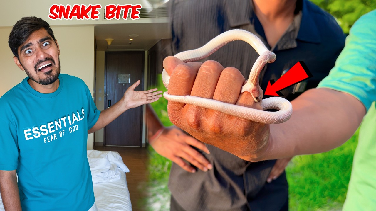 Bablu Got Bitten By Snake😱| बबलू को सांप ने काट लिया | What Will Happen?