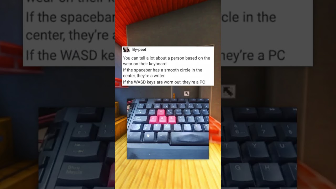 What Keyboard User are YOU?!