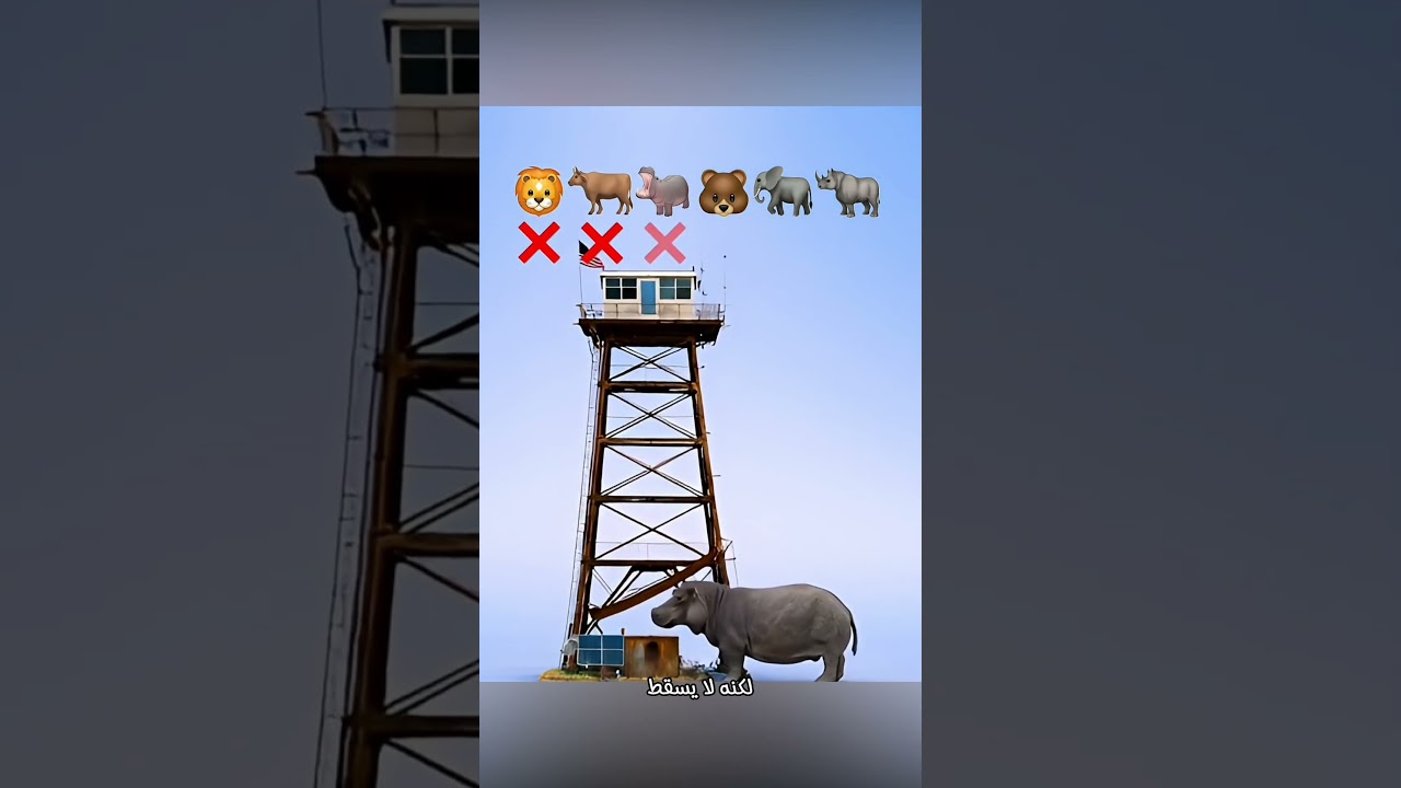 مواجهة القوة: من يهدم البرج بضربة واحدة؟ 😨