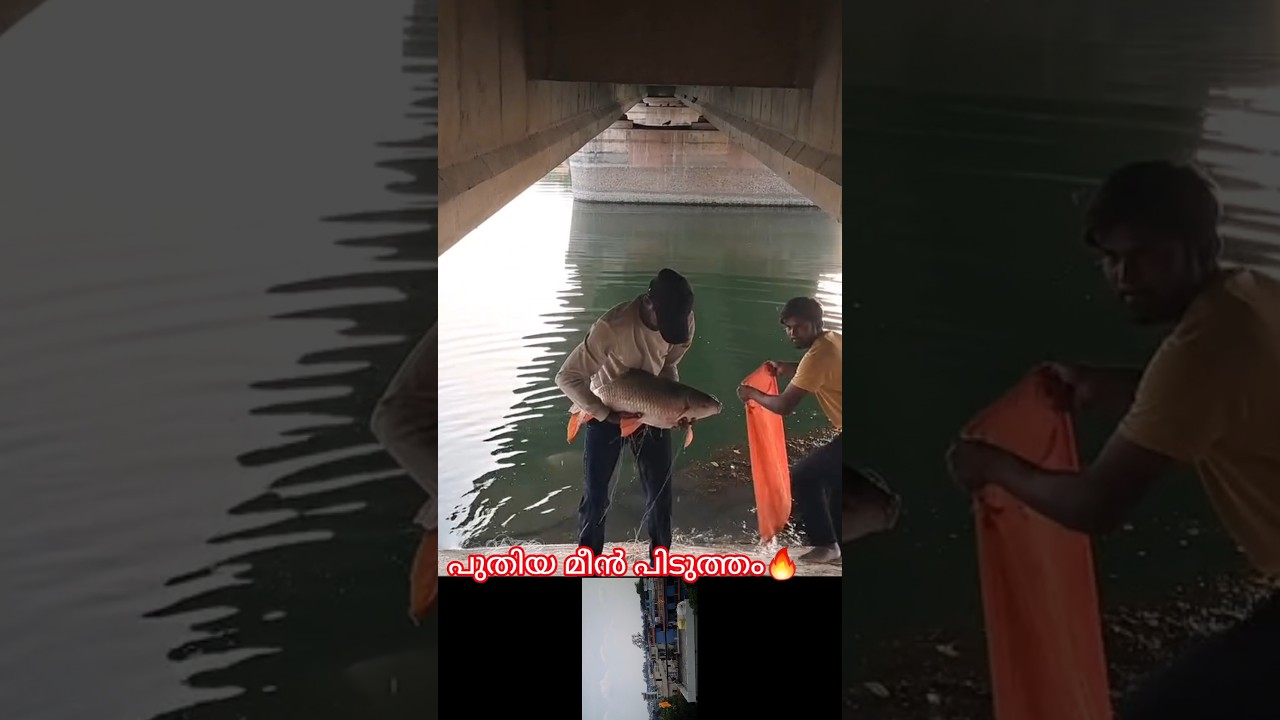 new fishing #mallutraveler​#fishingfreeks​#shortsX​#mallu​#malayalam​#m4tech​