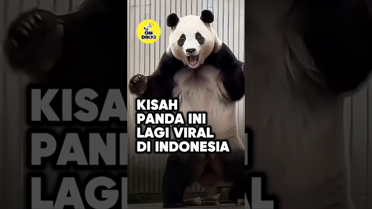 Setelah Lama Berpisah, Reaksi Fu Bao Bikin Haru ❤️ #shorts