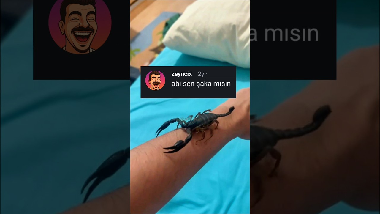 Evde akreple karşılaşınca yapılması gerekenleri sakince anlatan abimiz 😂