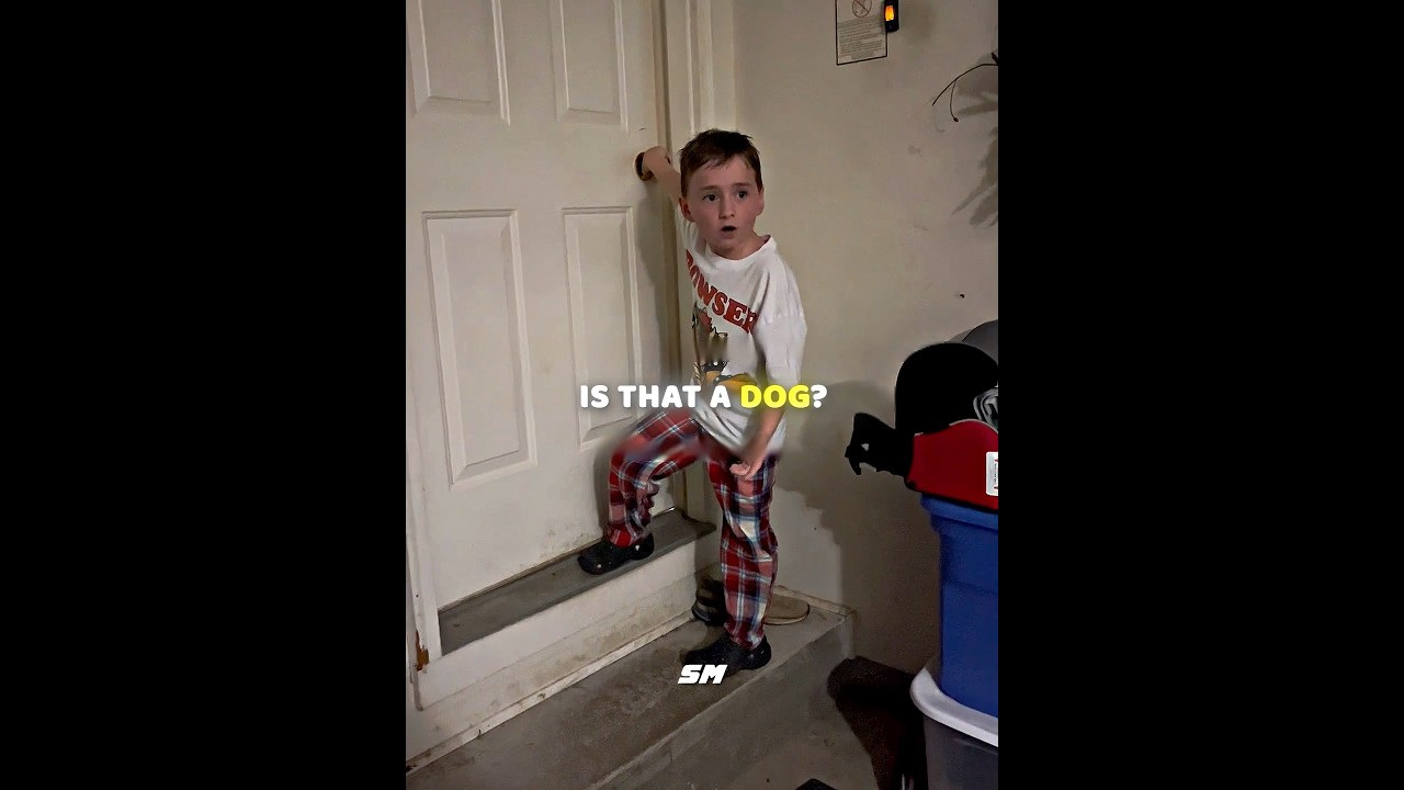 He Named The Dog In A Heartbeat