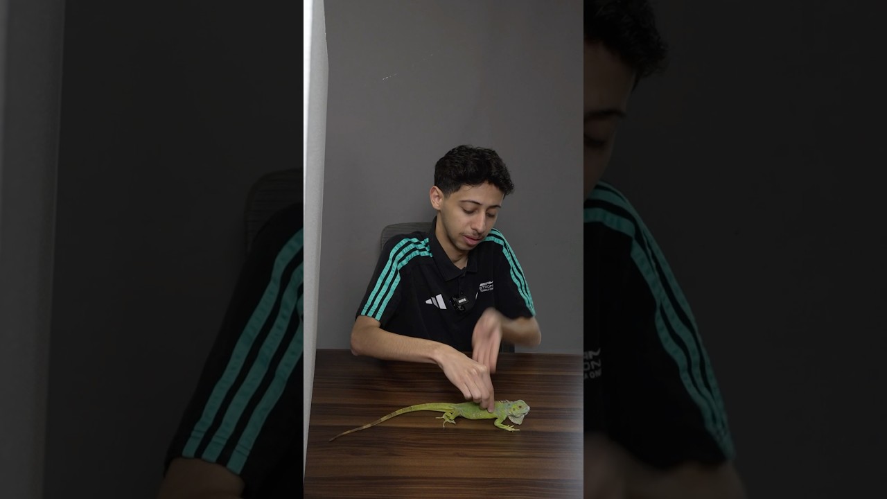 مين الكذاب؟ نسخة الحيوانات 🐒🔥