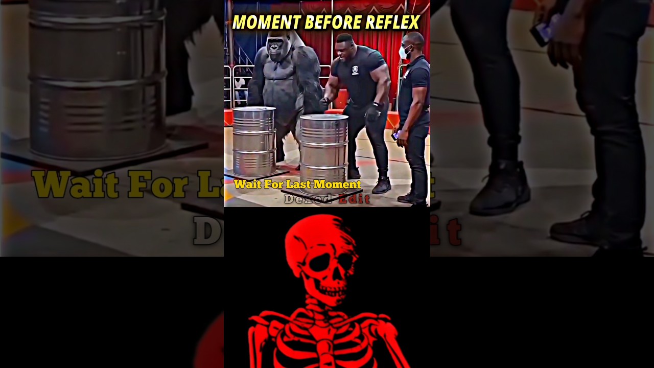 #aestheic