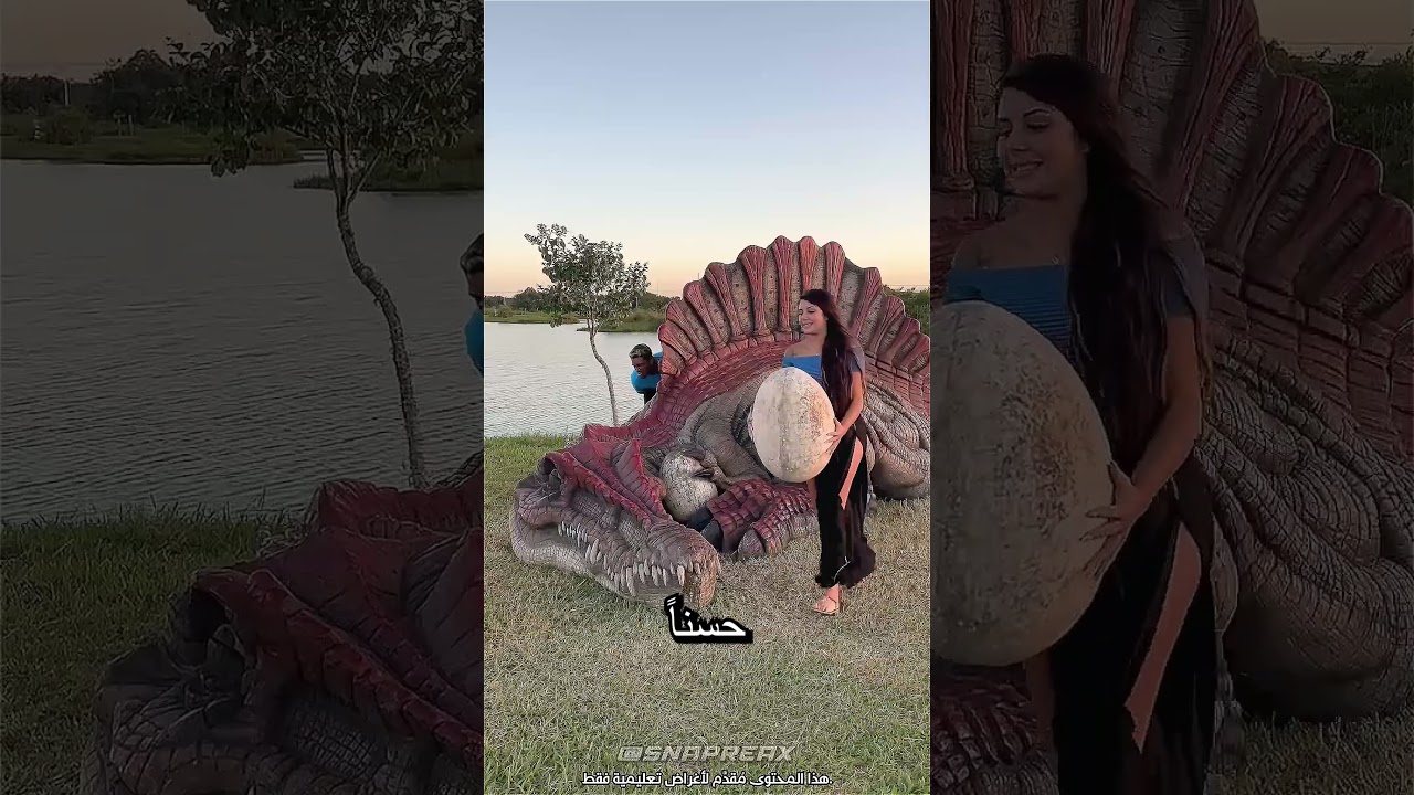 كابوس بيضة الديناصور! 🦖 @FamiliaPool