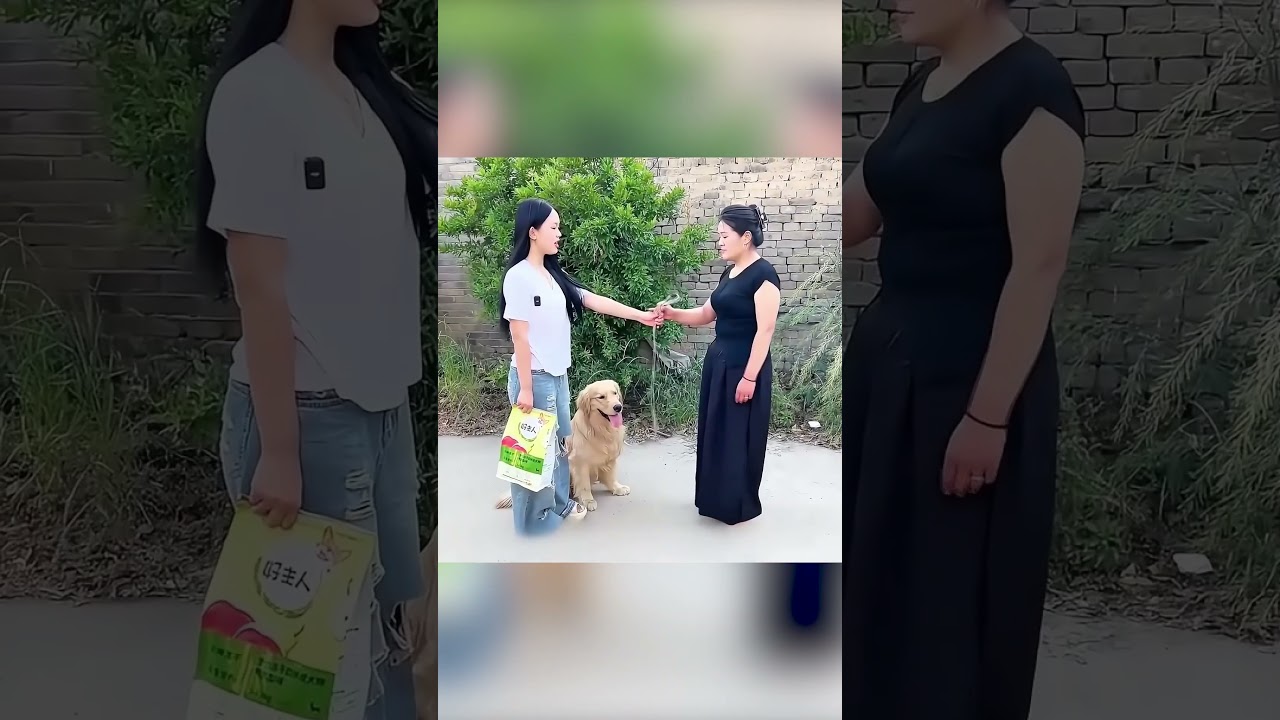 قصة وفاء كلب لم يتخلَّ عن أمه أبدًا