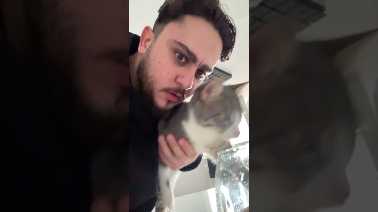 قطوس والسمكة🙀 #mrkingo #قطوس