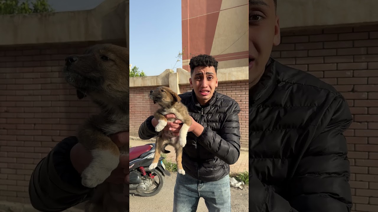 لقيت كلب صغير يبكي 😱