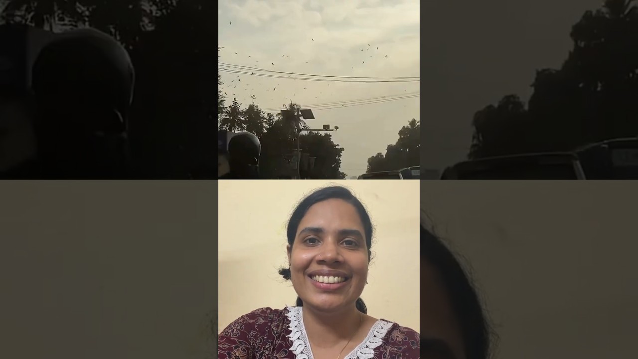 500 ഇപ്പൊ പോയേനെ🤣ആ ലാസ്റ്റ് ഡയലോഗ് 🤣