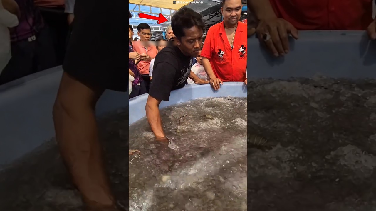 He Grabbed a Whole Bunch of Fish in One Move 😳🐟 #shots #facts