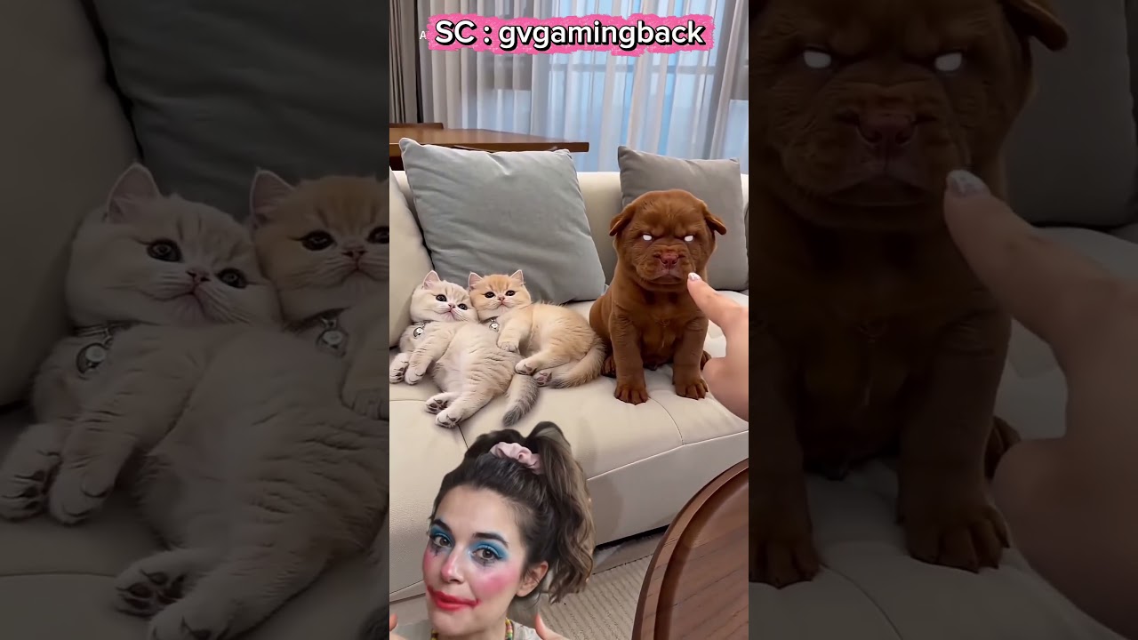Aku Kan Doggy | Bukan Kucing ‼️