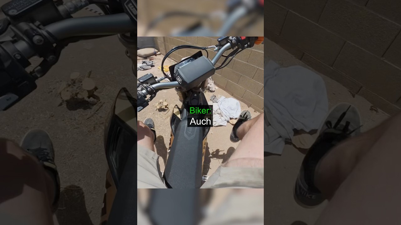 Biker Got Bitten by Poisonous Bee !😱