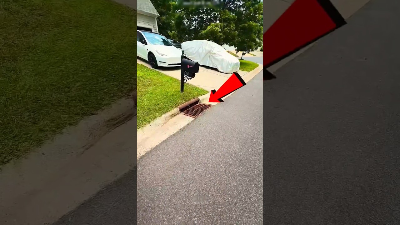 Cartão Misterioso! 🚗😲 #Catsoftiktok #CatLovers #cat #cute #FunnyCats #catcartoon #fyp