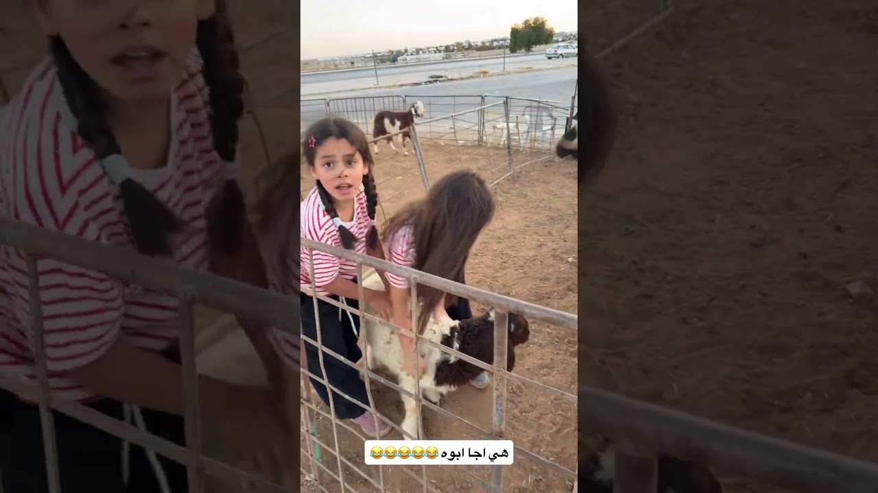 اليوم الفعالية مع خروف العيد 🤣😂😂شوفو الفيديو لأخير 😱😱#shorts #اكسبلور #garden