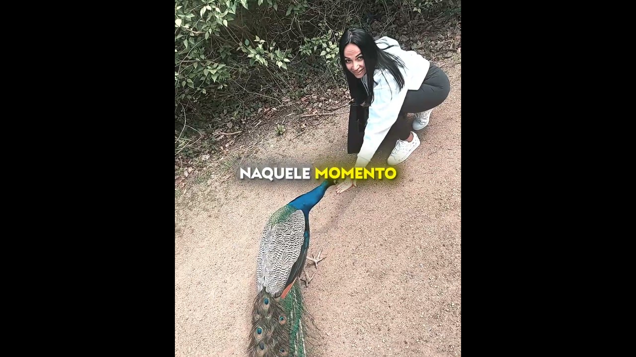 O Sonho Dela Finalmente Se Realizou 🥰💖 #shots