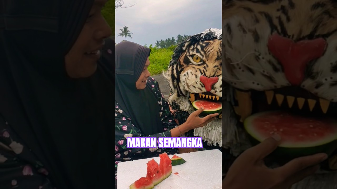 SI KUCING BESAR SUKA SEMANGKA BESAR